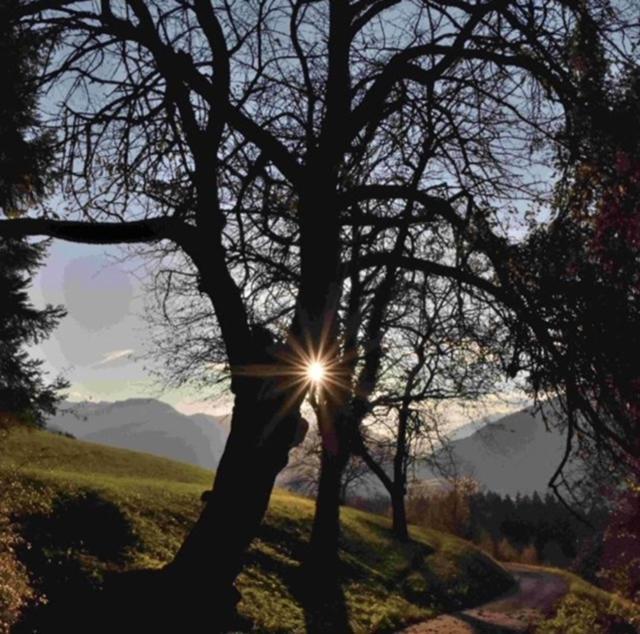 Appartamento Da Romina Con Parcheggio Gratuito Sanzeno Buitenkant foto