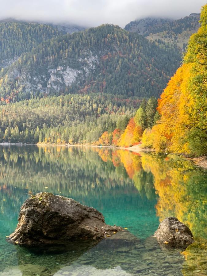 Appartamento Da Romina Con Parcheggio Gratuito Sanzeno Buitenkant foto