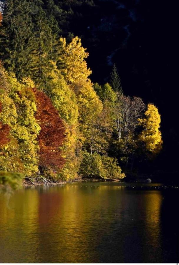 Appartamento Da Romina Con Parcheggio Gratuito Sanzeno Buitenkant foto