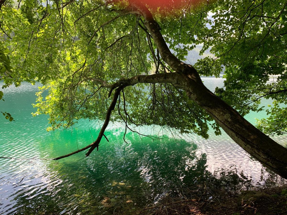 Appartamento Da Romina Con Parcheggio Gratuito Sanzeno Buitenkant foto